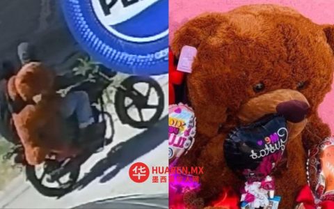 “爱情小偷”偷走巨型毛绒玩具，事发拉拉古纳商店