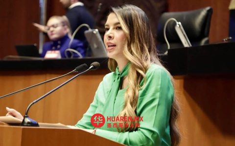鲁思·冈萨雷斯·席尔瓦（Ruth González Silva）是墨西哥人民革命党（PVEM）提名、社会劳工党（SLP）推举的州长候选人。