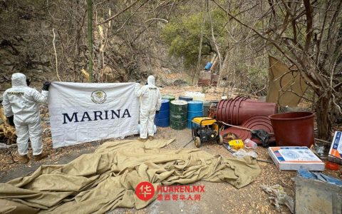 锡那罗亚州巴迪拉瓜托反毒行动缴获大批枪支与子弹
