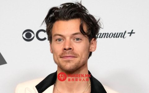 哈里·斯泰尔斯坦言退出单向组合曾带来巨大情感冲击