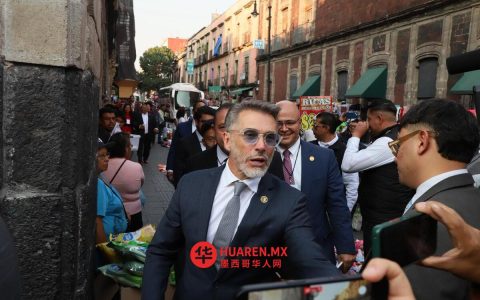 莫雷纳州对议员塞尔吉奥·迈耶启动制裁程序