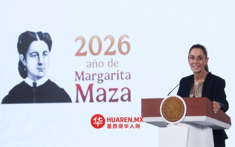 谢因鲍姆称，马克斯·阿里加离开教育部（SEP）是因为该党内部账目记录出现变动