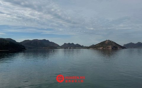 谢因鲍姆在索诺拉州巡演，推动瓜伊马斯（Guaymas）地区珊瑚礁保护工作