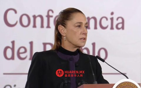 谢因鲍姆证实军方针对“埃尔·门乔”采取行动，称政府运转正常，今晨交通未受影响