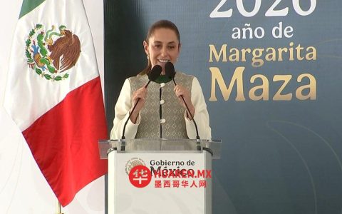 谢因鲍姆宣布将修订高中课程大纲