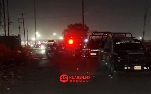 埃多梅克斯州图尔蒂蒂特兰（Tultitlán）两起独立事件中，两名男子遭武装分子杀害