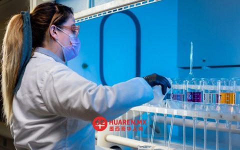 “科学领域的女性网络”将在萨尔蒂约举办社会意义研讨会