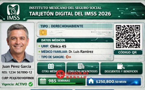 2026年墨西哥社保数字卡将上线，哪些人必须办理？