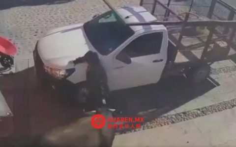 克雷塔罗州一头公牛逃逸，袭击6人含一名女童