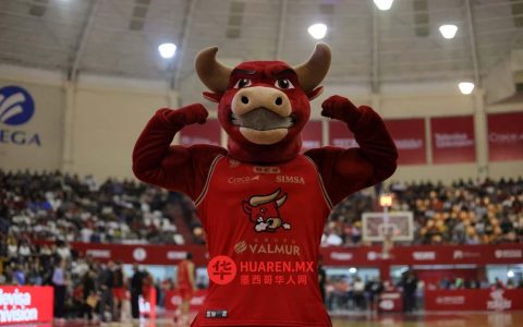 托罗斯·拉古纳首登CIBACOPA联赛，迎战马萨特兰维纳多斯队