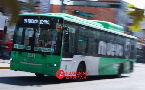他们要求荷兰城市公交运营商接受相应培训