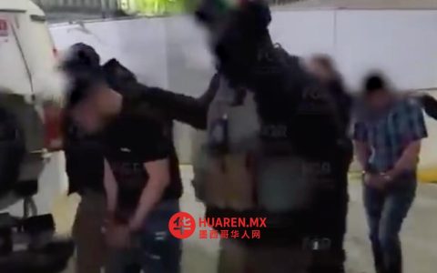 埃尔门乔护卫队如何被转移至高原地区｜视频