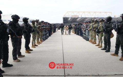 欧盟毒品管理局：毒贩末日将至