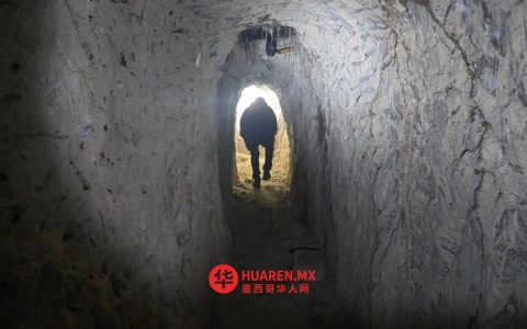 伊达尔戈州探索瓦奇科莱（huachicole）种植与加工新路径
