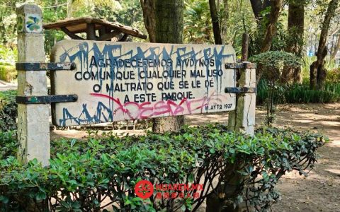 滥用墨西哥公园（Parque México）的行为正加速其退化