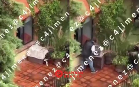 阿尔瓦罗·奥布雷贡市政厅内一只哈士奇遭殴打并被铁链束缚