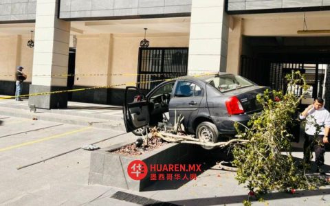 托雷翁一老人倒车不慎撞入花坛