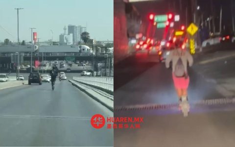 滑板车现身大都会区主要街道