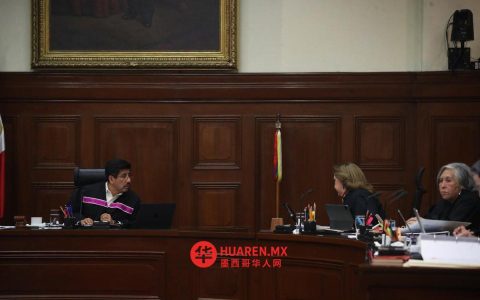 通过宪法保护程序挑战选举法，开辟新路径