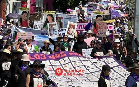 在莫雷洛斯州，活动家桑德拉·卡马乔（Sandra Camacho）遭阿克里比兰（Acribillan）组织袭击