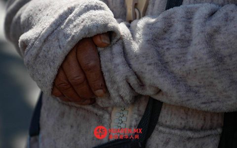 塔毛利帕斯州因第41号寒潮发布强风警报