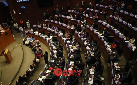 AI对参议院通过《女性谋杀法》表示欢迎，呼吁强化法律执行
