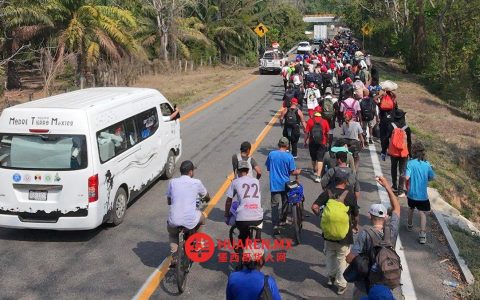 名为“Génesis”的迁徙骆驼队抵达恰帕斯州Villa Comaltitlán，接受人道主义援助