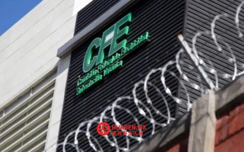 CFE Calificados升级数字平台，优化批发市场服务