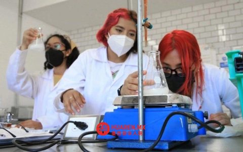 科学研究领域占国家科学指标（SNI）的60%，研究生奖学金数量持续增长——Secihti