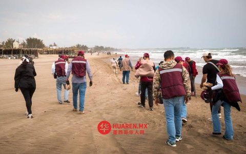 墨西哥湾933公里海岸线受污染影响 相关机构启动应对措施