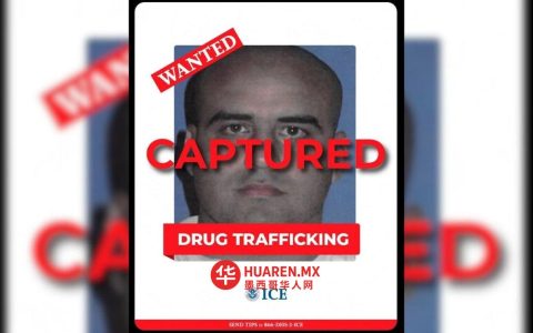 瓜纳华托警方逮捕海湾贩毒集团成员罗伯托·巴赞·萨利纳斯（绰号“埃尔·贝托”）