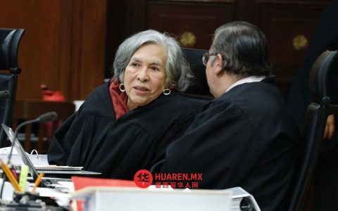 墨西哥众议院议员提议改革措施，以保护通过辅助生殖技术出生的婴儿。