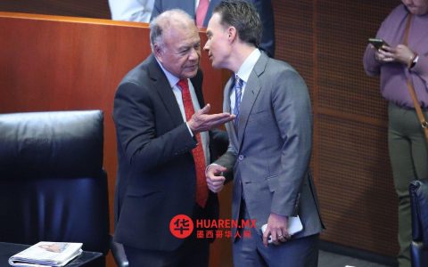 巴西劳工党（PT）声称，选举制度改革将导致现有的政党制度不复存在，他们将努力阻止这一情况的发生。