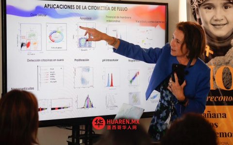 墨西哥国立自治大学（UNAM）研发新型细胞疗法应对肾移植排斥反应