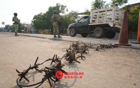 欧盟大使馆提醒公民：在墨西哥度假期间存在暴力风险