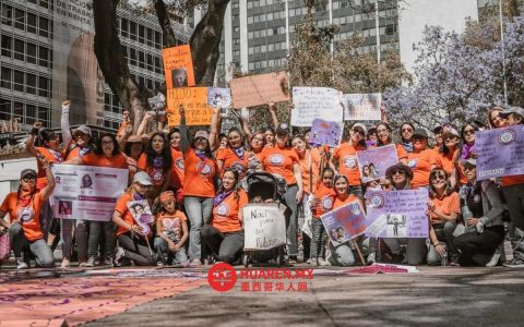五年内共收到5,286起“替代性暴力”投诉