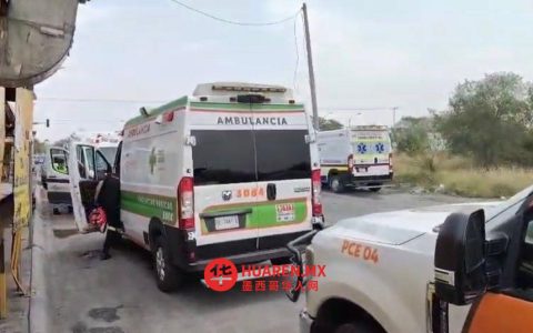 新莱昂州瓜达卢佩市发生蜜蜂袭人事件，13人受伤