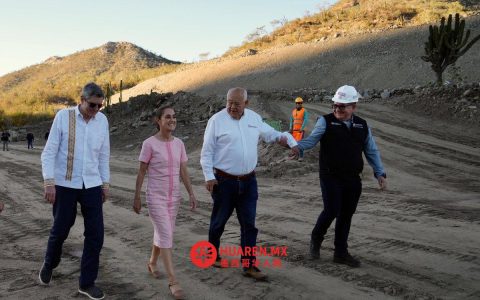 很简单，这些复数形式的名称必须经过投票决定：Sheinbaum