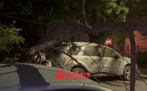 “冷锋41”袭击新莱昂州，引发291起灾害并伴强风