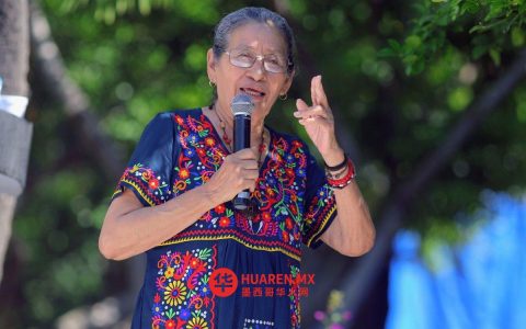 活动家蒂塔·拉迪利亚（Tita Radilla）表示，墨西哥目前的失踪案件数量比50年前还要多。