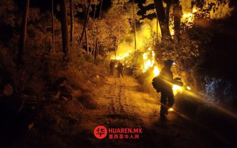 特皮克（Tepic）圣胡安山火灾已持续七天，火势控制率达85%
