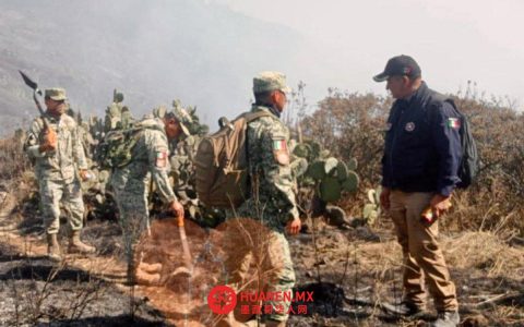 特波佐特兰山区火灾已获控制，过火面积达30公顷