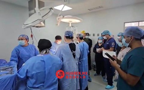 新拉雷多肾衰患者等待移植人数持续攀升，供体短缺问题严峻