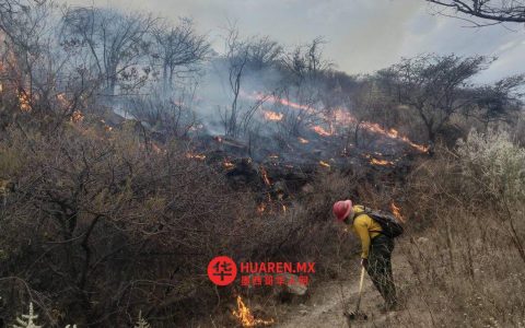 哈利斯科州拉普里马韦拉地区火灾蔓延，至少200公顷土地遭影响