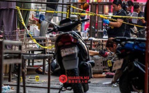 “特皮托联盟”组建青少年杀手团伙“UJ40”