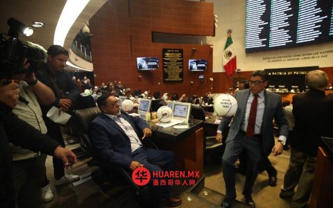 世界杯的热潮也传到了参议院——参议院的成员们正在使用在格雷罗州制造的足球进行活动。