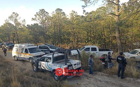 墨西哥中部峡谷发现多名失踪农庄成员遗体
