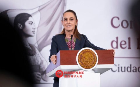 谢因鲍姆指出联合国“失去了影响力”，并呼吁联合国在中东局势升级的情况下重新发挥其应有的作用。