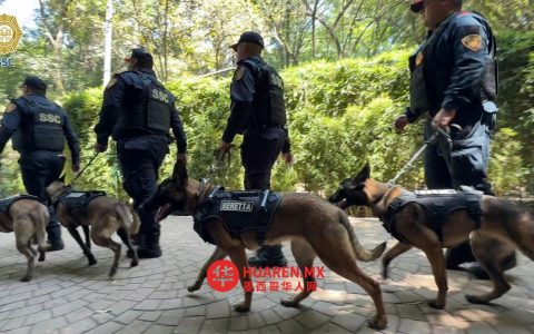 PBI整合四项犬类技术，强化2026年世界杯安保