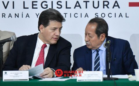各委员会主席将仅与各党派领袖商讨选举改革议案。